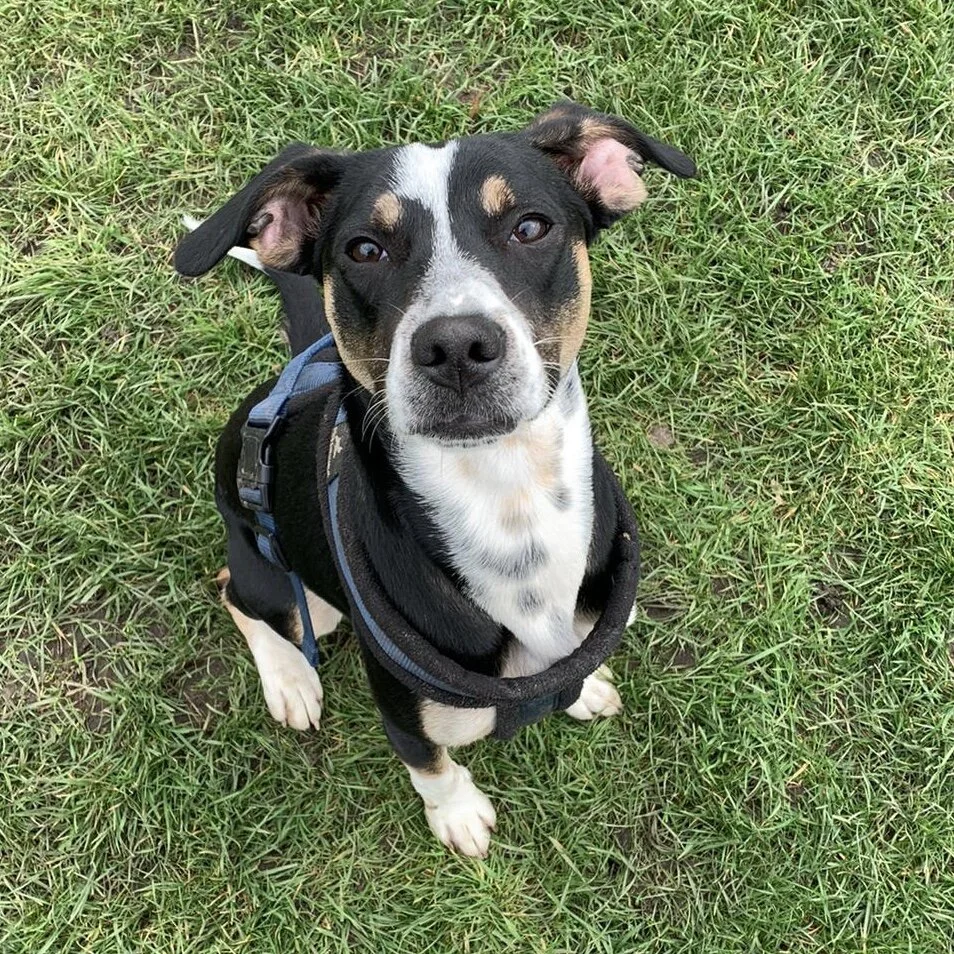 6B4E832E-9F89-43AB-97A8-8960157ADA7D