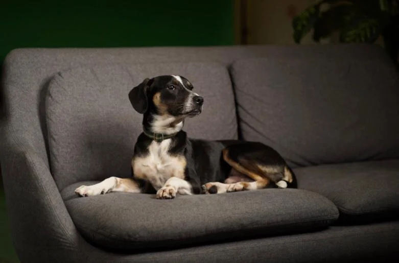 402BAF5B-1FA5-4C71-8D3E-AB4917C611BF