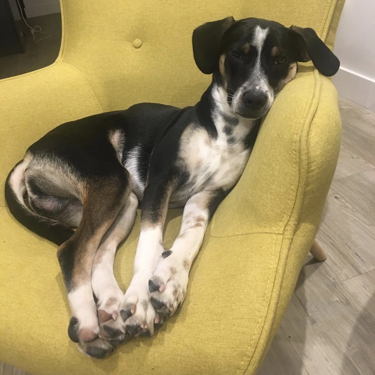 1ED9BAE5-FC57-4F60-AE76-31CF2F9E794C