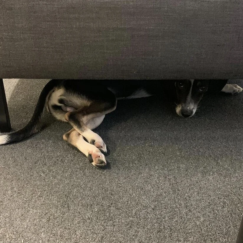 7646CAD2-F965-43FE-84A8-66DAA00840DB