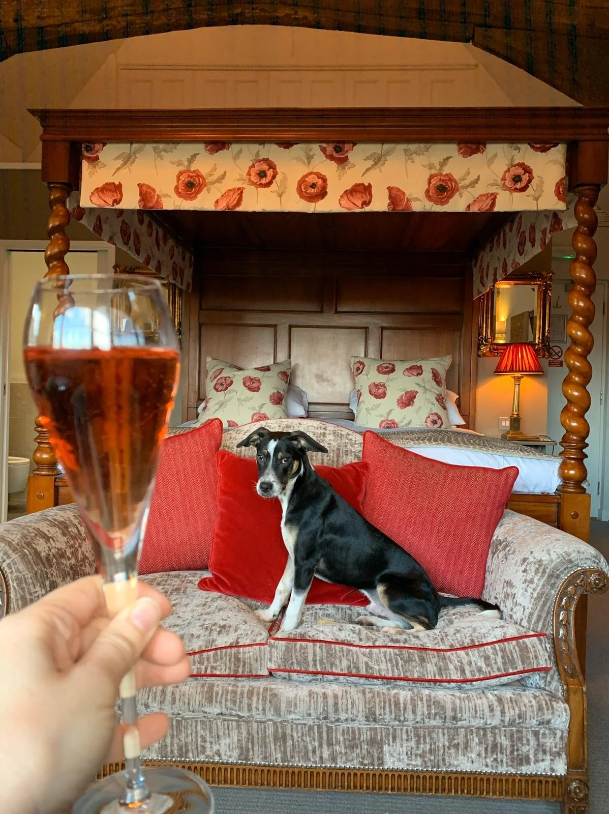 FC696F07-AAA0-4253-AF63-715E551D6042