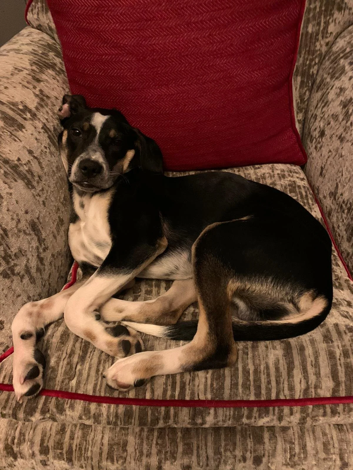 50D557DE-AF52-4BA2-8CA2-B481192257EB