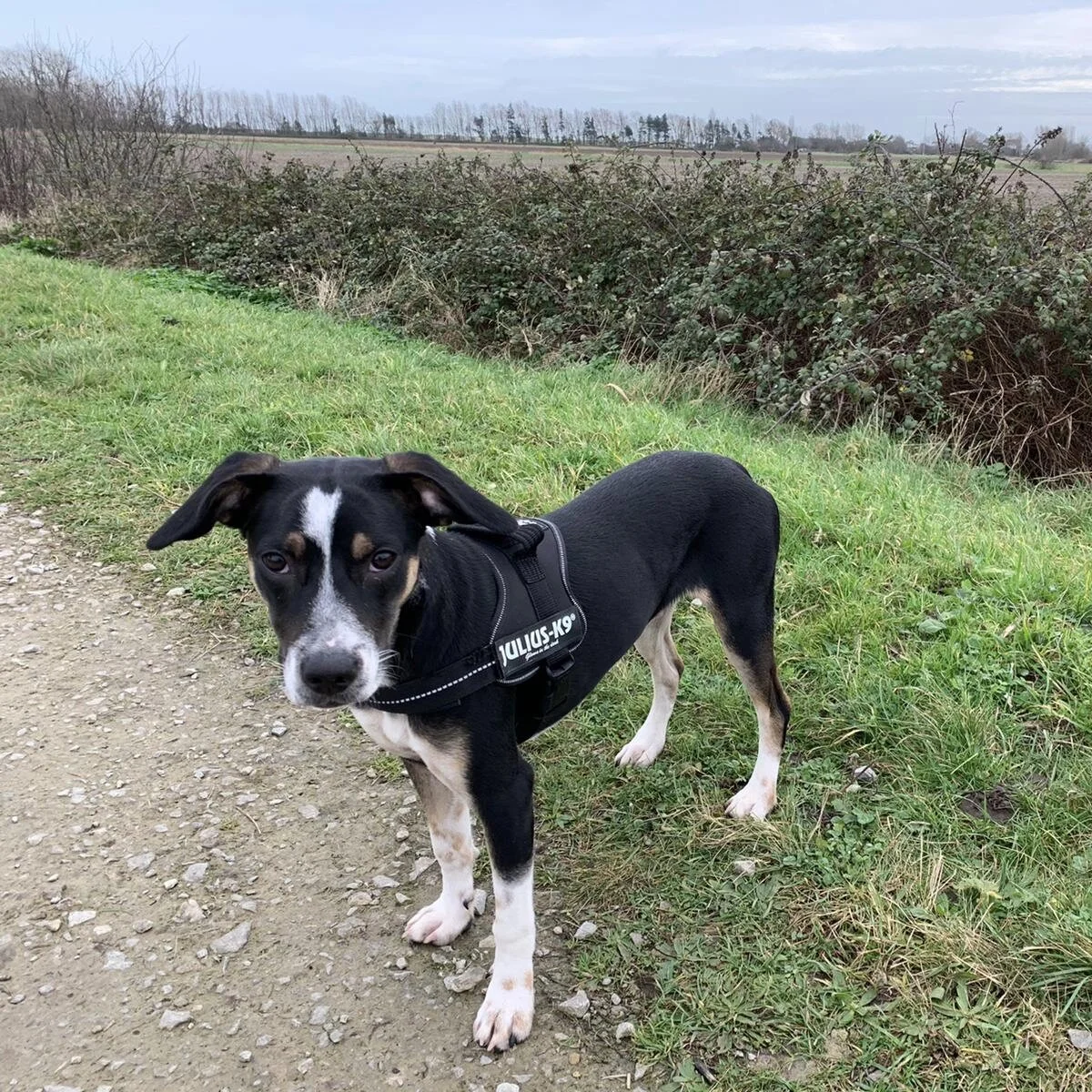 85F7AF10-7799-4102-B6B1-257470BD7DB7