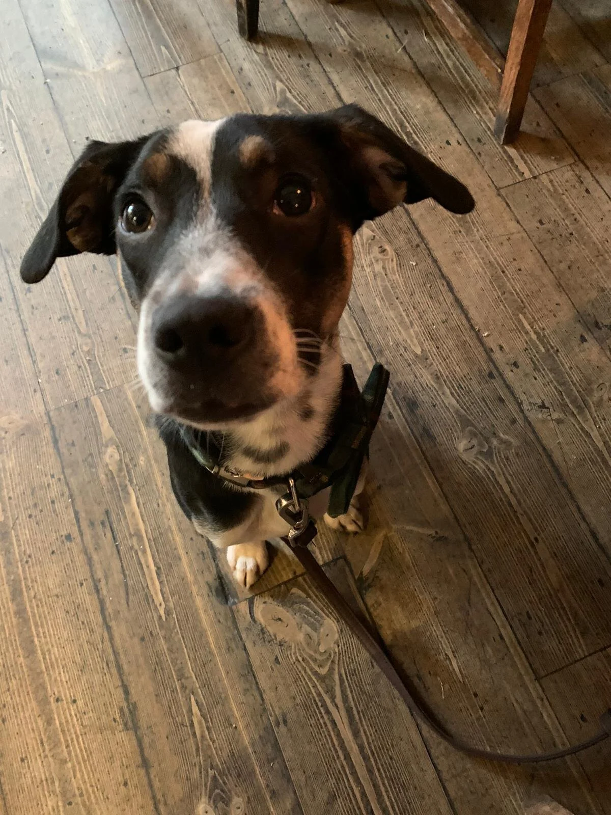 1A26418B-3FEA-487E-B42F-CBDAAB1C1870