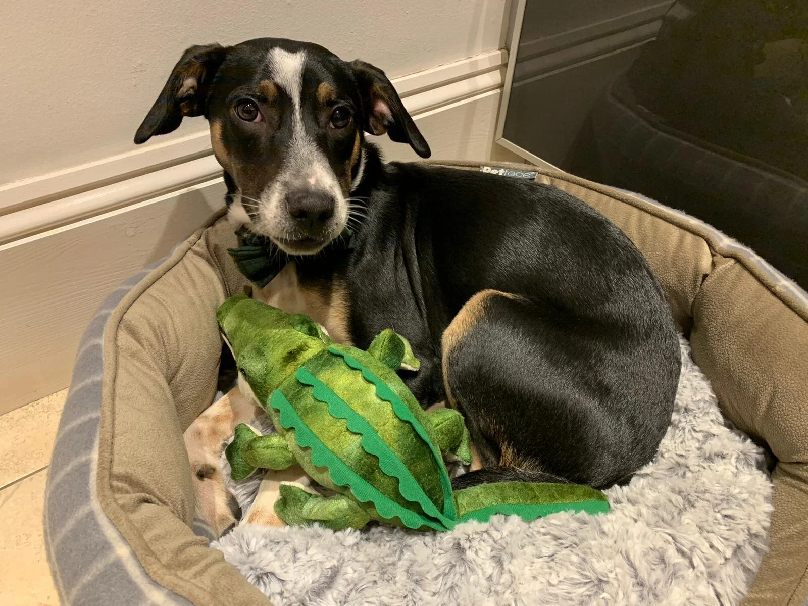 31CA05D7-95A2-44C0-B4E2-2638B402EDFF