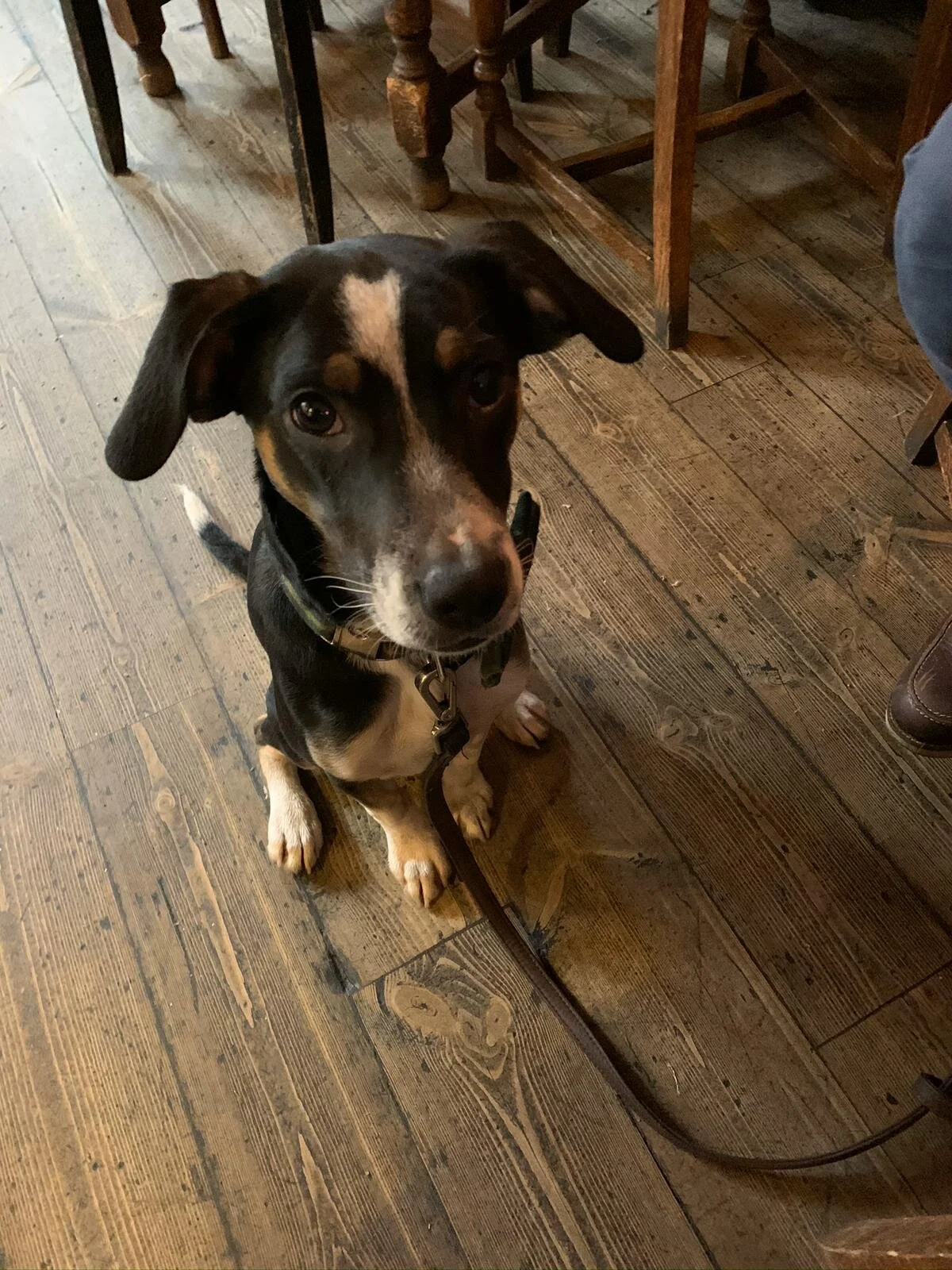 EF733022-E4F5-4D31-904E-2DD98F113037