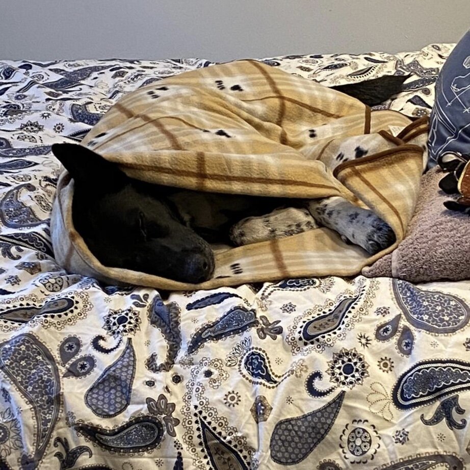 3AA5A1F3-88C2-47B8-9CA5-C1D94B12106D