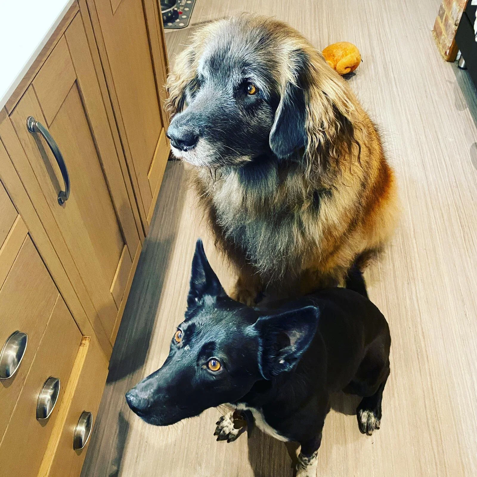 C924A50F-FC16-4656-A97F-E3376E5B23C8