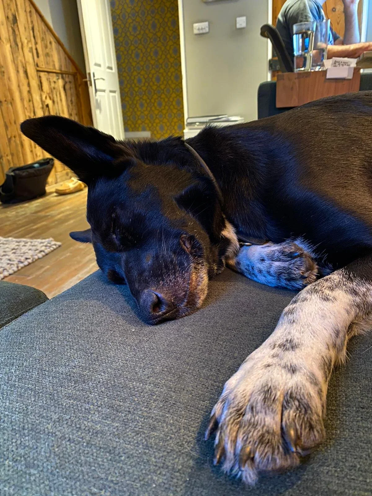 1A678A28-F678-4328-A180-CE8CD8FB859D