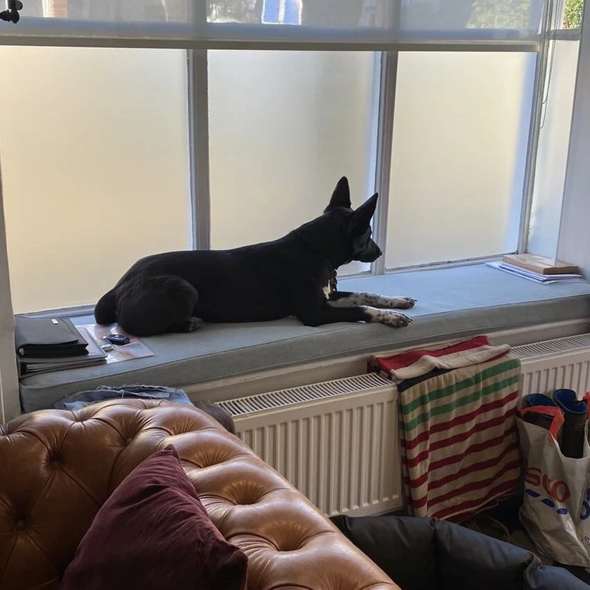 D1272B46-E2F3-4B0F-A977-EE667CD37EAA