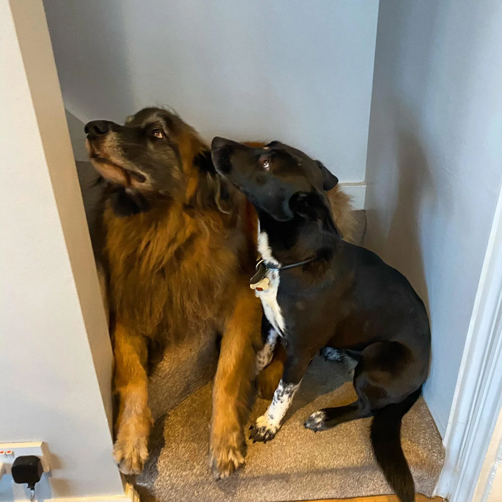 A0B3A998-8DAF-4D08-A1F0-6A94648305E3