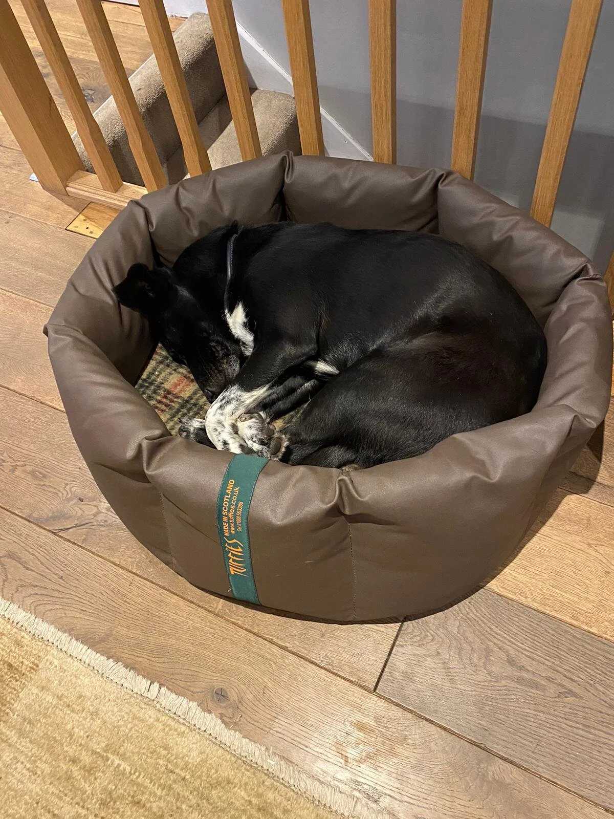 A75E3E1B-66C0-4A5A-AA66-7000B679BA43