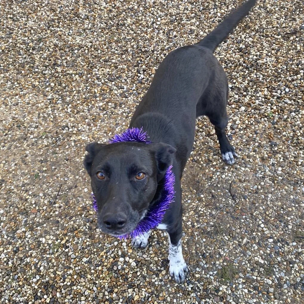 9695EA13-D11F-49A6-8B66-FC0446184D23