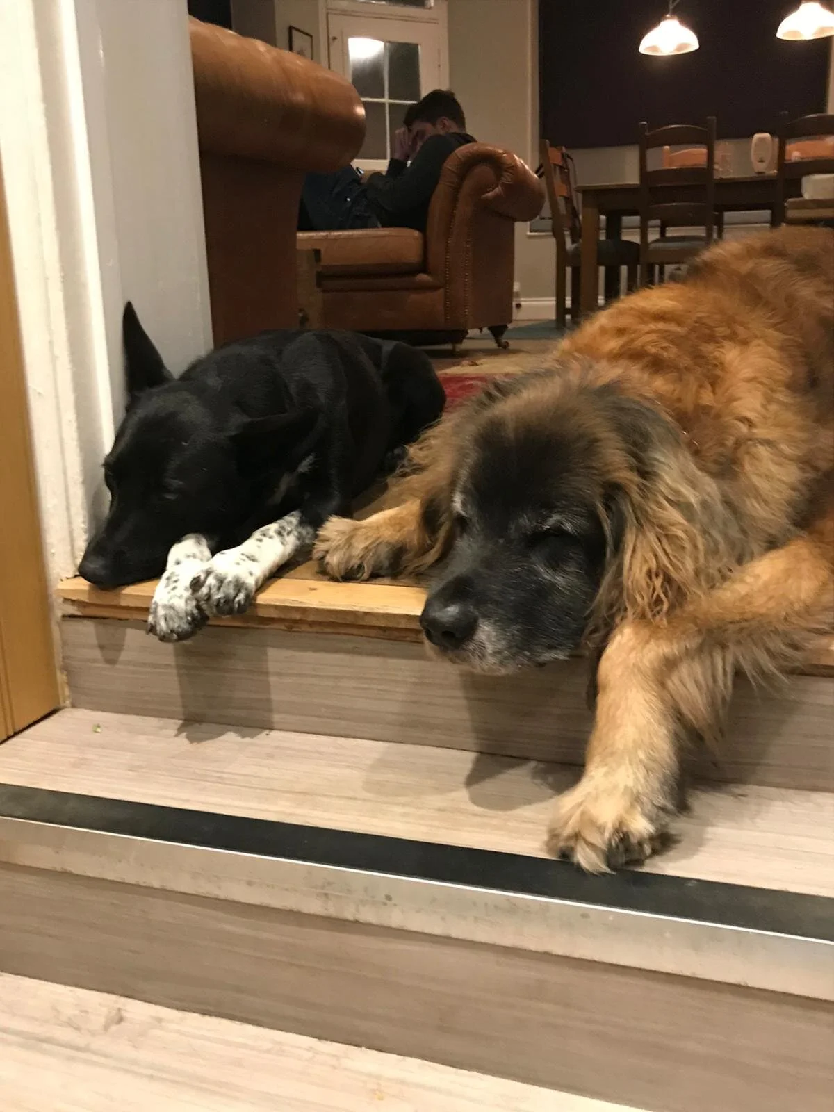 A96E2FD2-914B-4BB0-94D4-ECEB836C3270