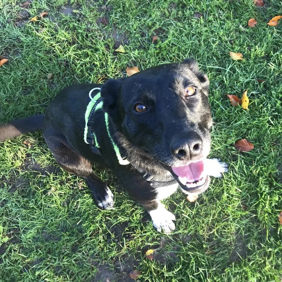 C618E2A7-AC17-4CF1-B9B2-9896C56E0ACB