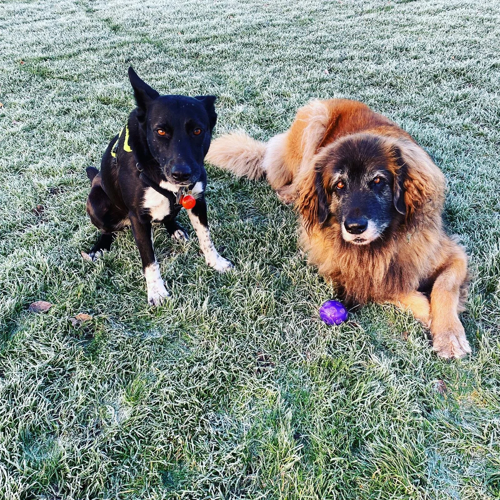 DADDF9A8-0059-4B85-A670-76CDA612FA00