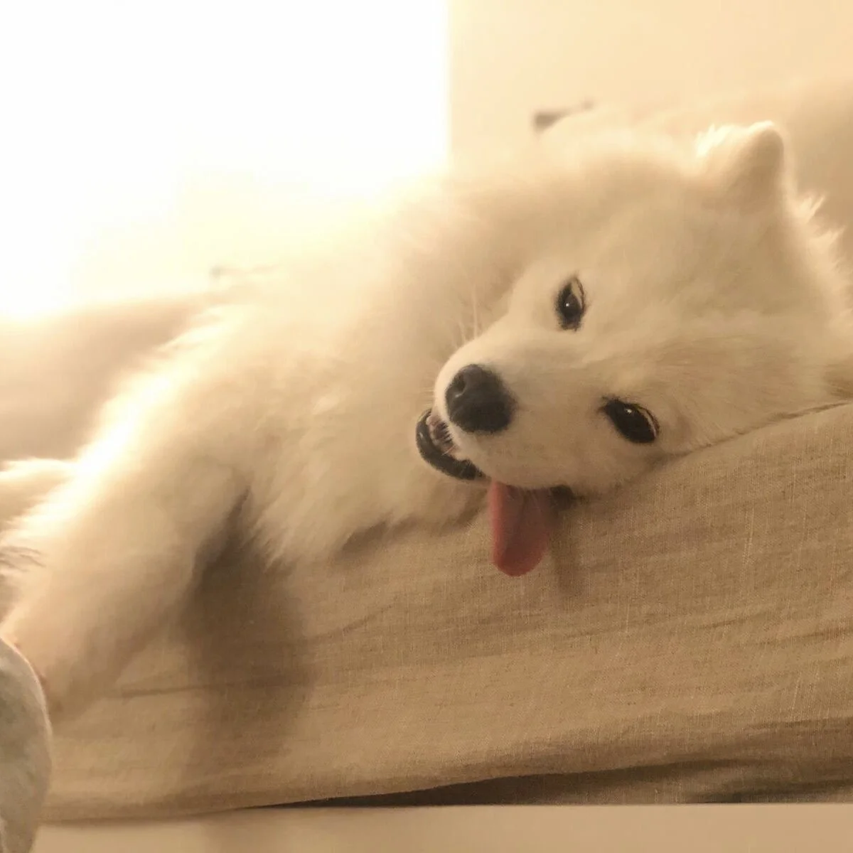 01A9B96A-A124-4220-816E-1565FA7BF1D0