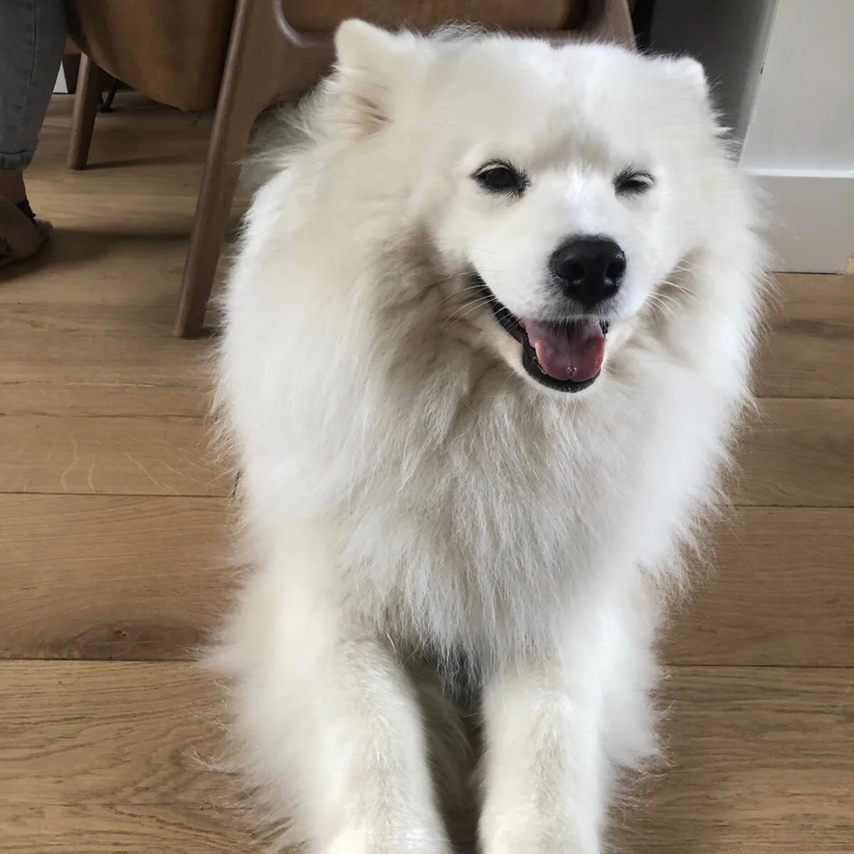 C622E9E5-A976-4D93-BDAA-BB90B29475C1