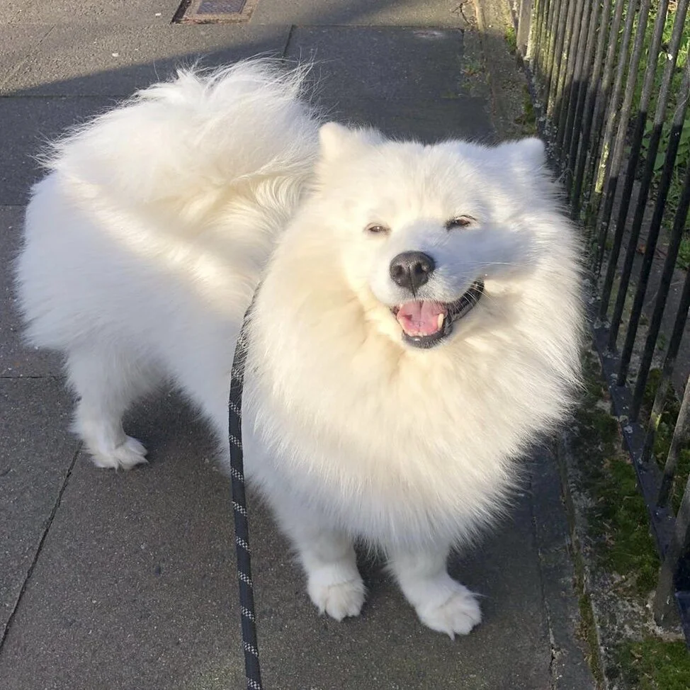 91019960-4261-4324-9F3E-B37EFA0D9260