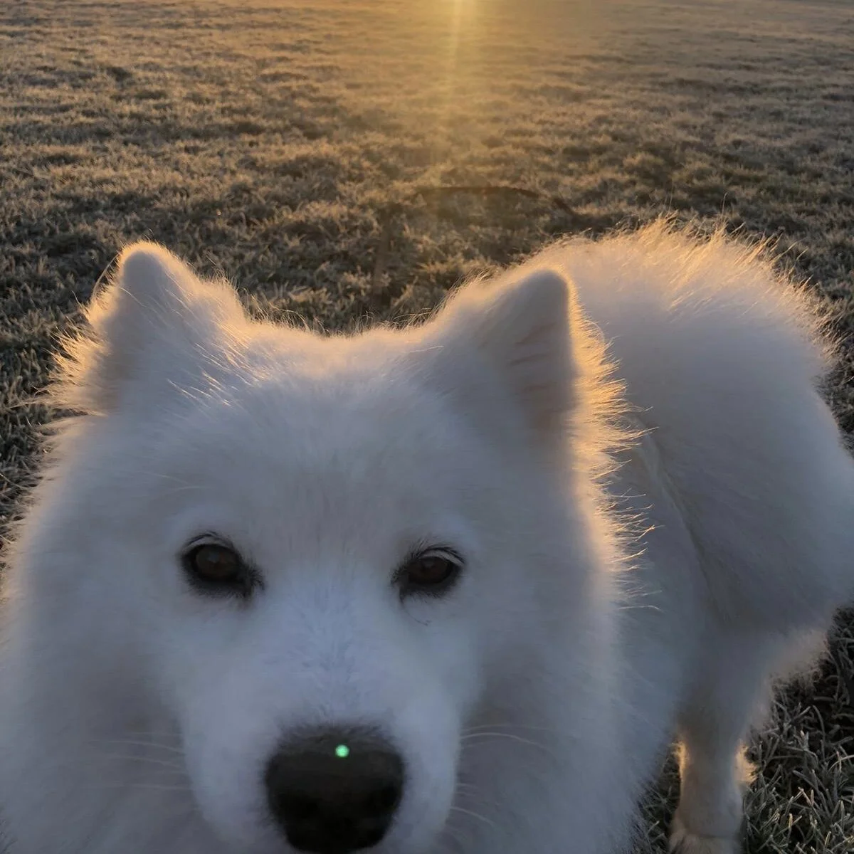 FA3EE34A-FFD6-4091-AB99-6061A165827A