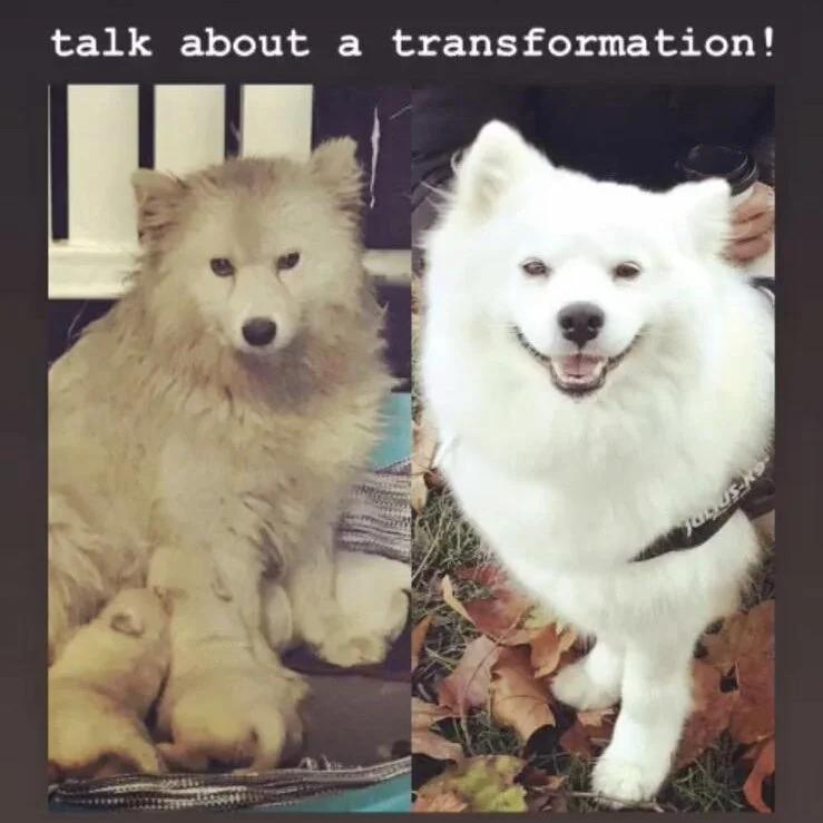 F08B42EF-90DC-4C29-BF42-D19A7A7AE64D