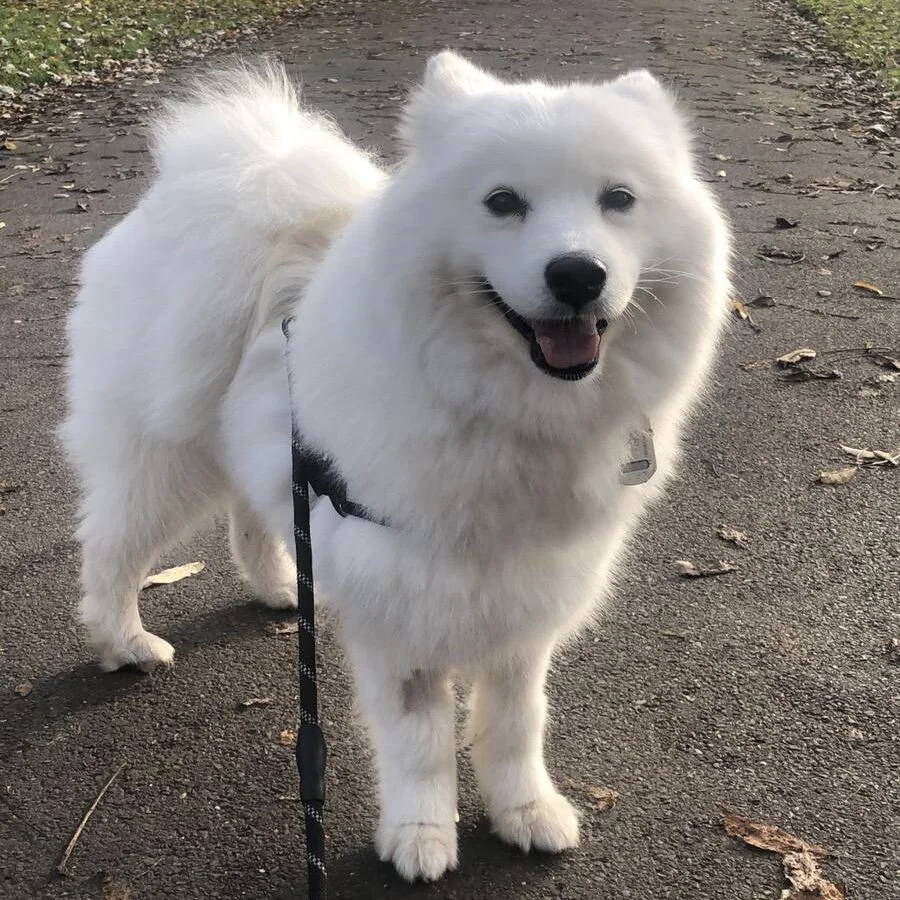 B86A5CE6-C7B7-4C1C-BB72-31DCC6242B9E