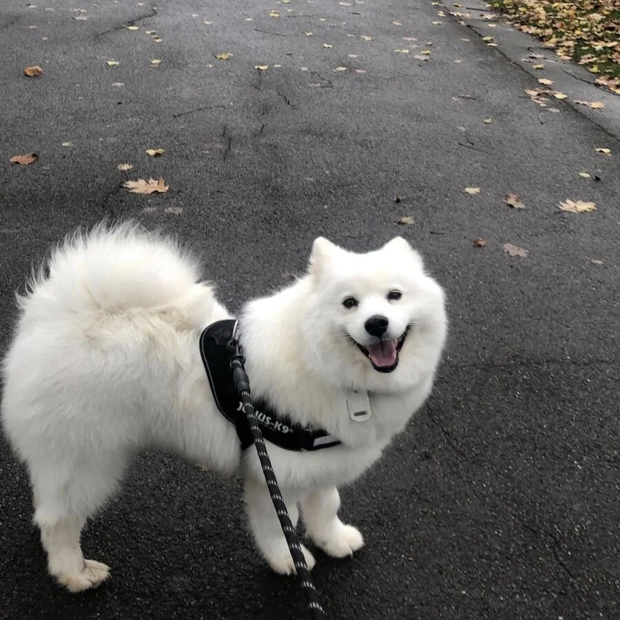 DE6979FC-79FB-43CF-89B0-DE87A039D156