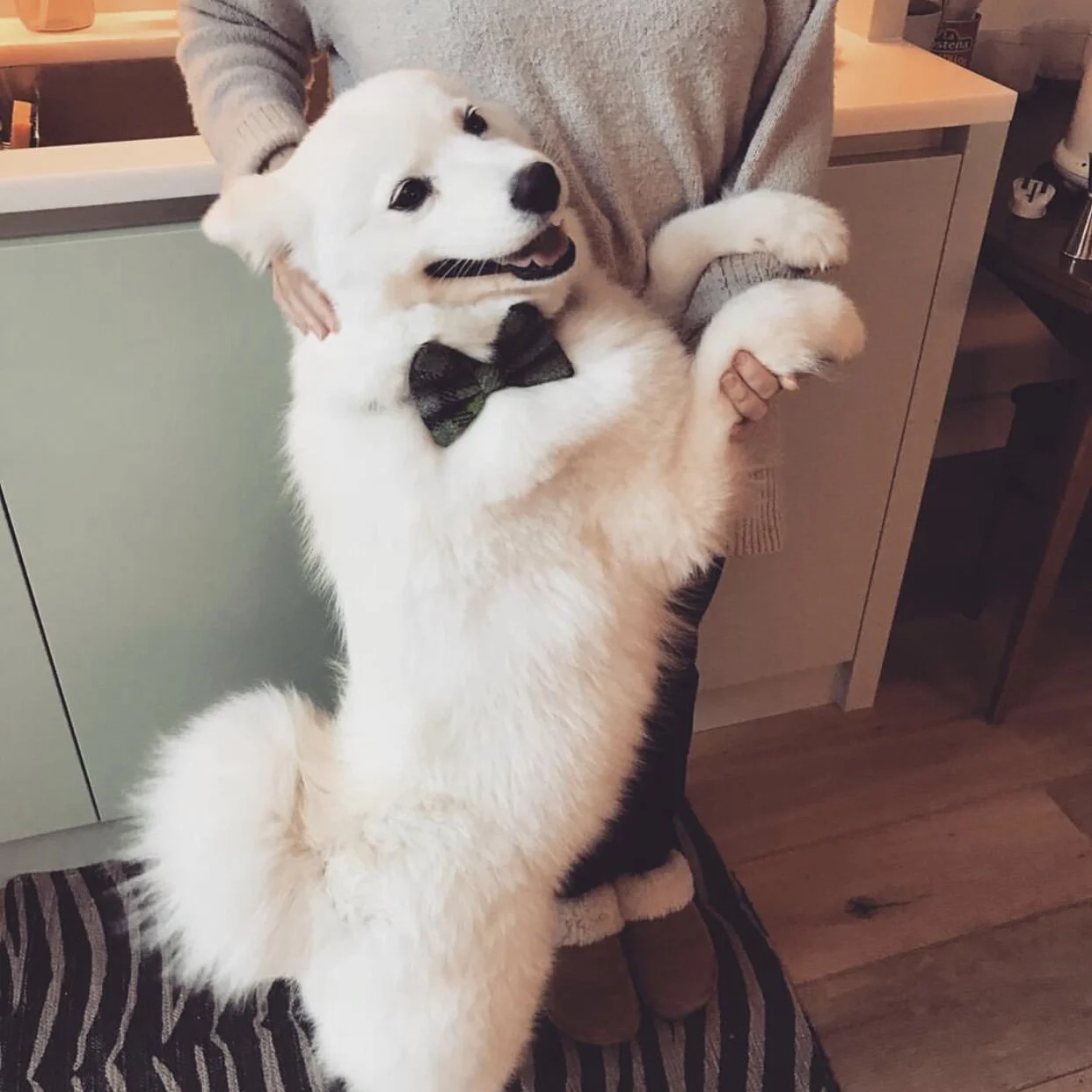 6029B47A-C038-4C9F-8ACF-791A45CC40DD