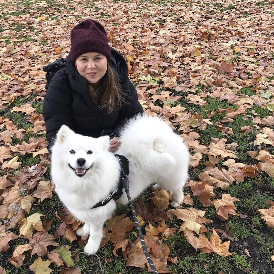 C294E70B-02E0-4BE2-99F8-DD1B72BD478C