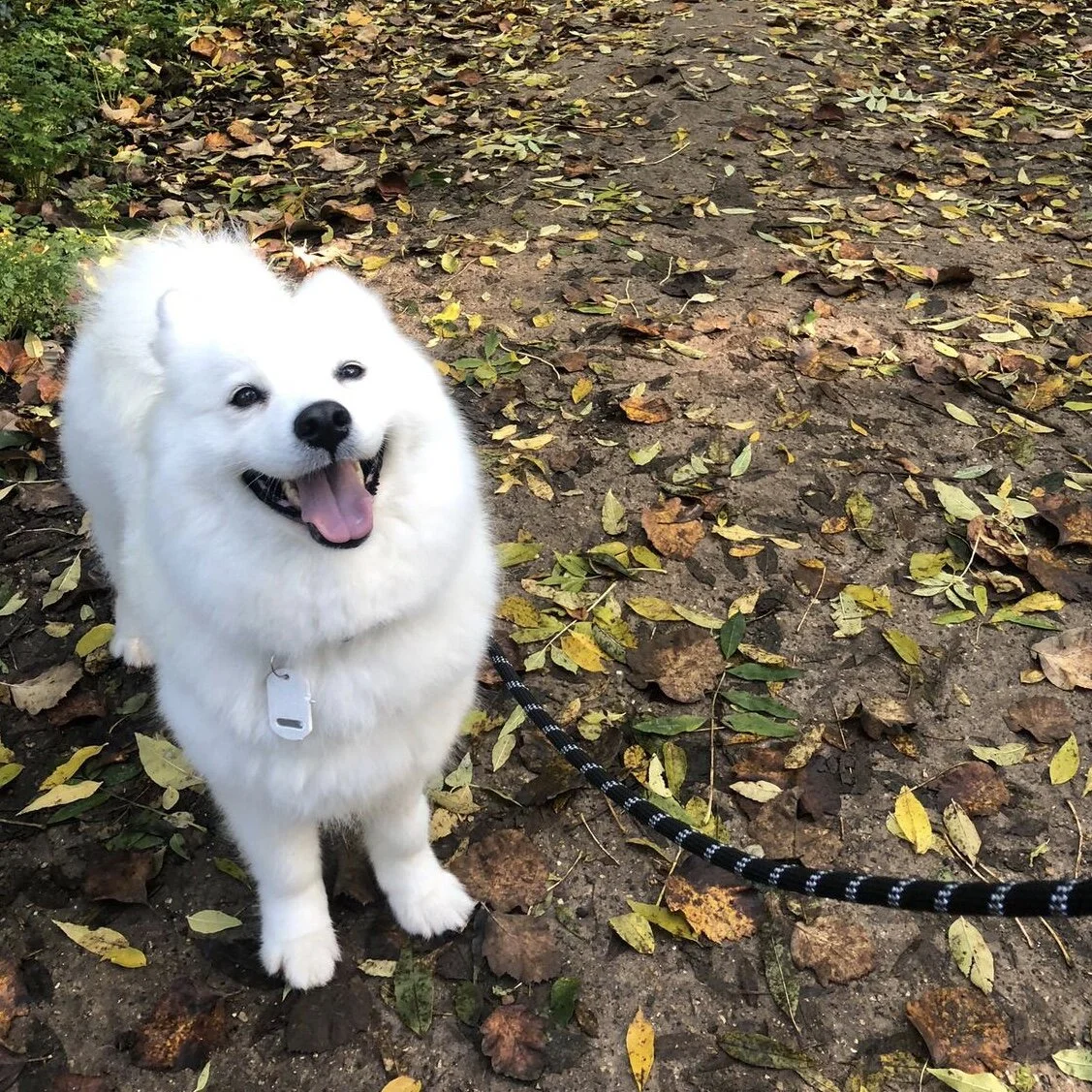 F45AF994-C66C-40FC-8E63-115BE36F192F