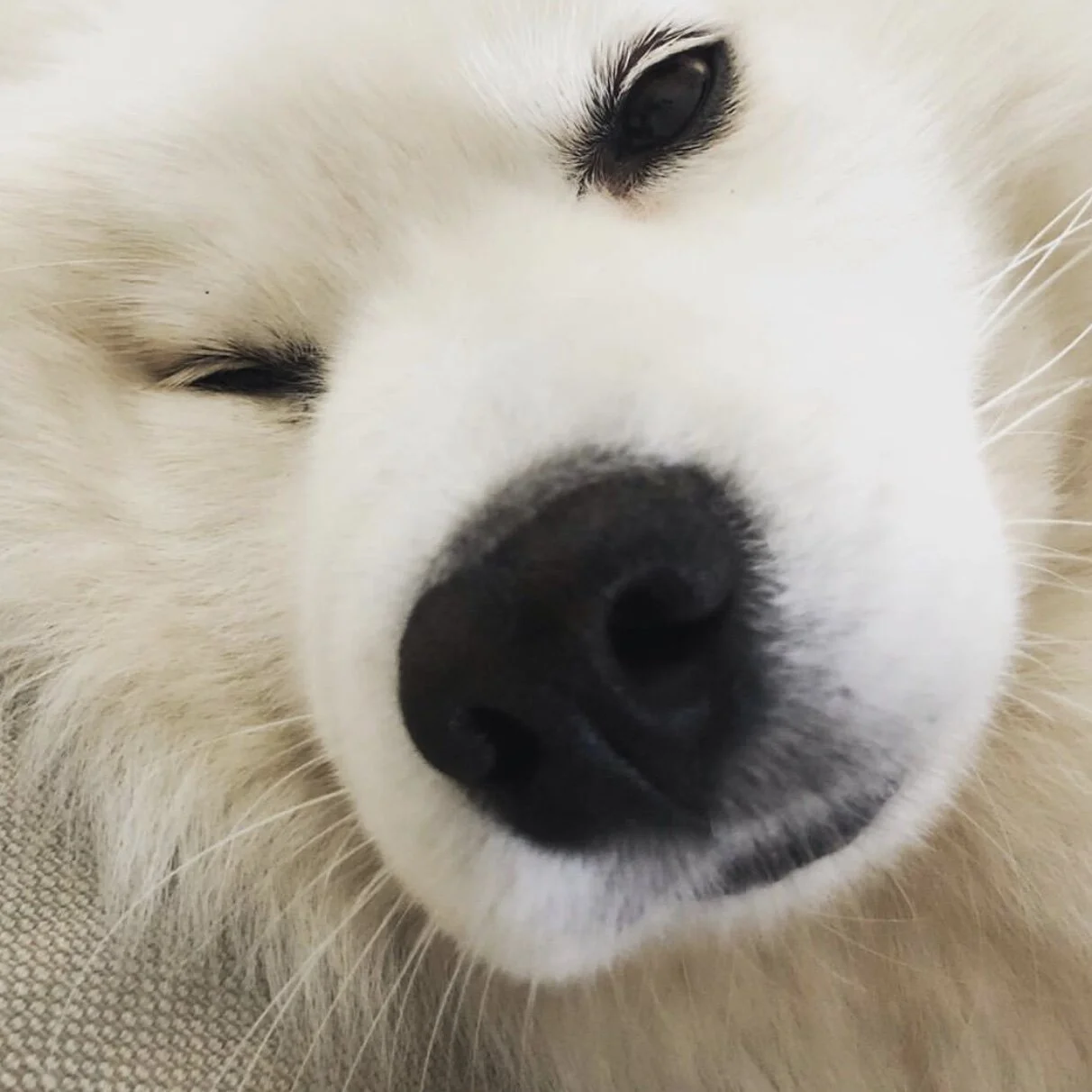 5716834F-01F4-4C58-89AE-0C2B95DE9295