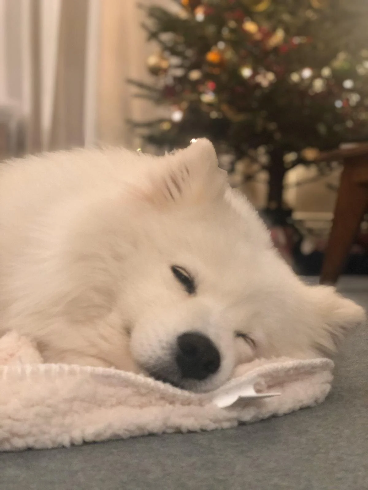 47BC7259-4649-484A-9E2D-17DD8DF456E2