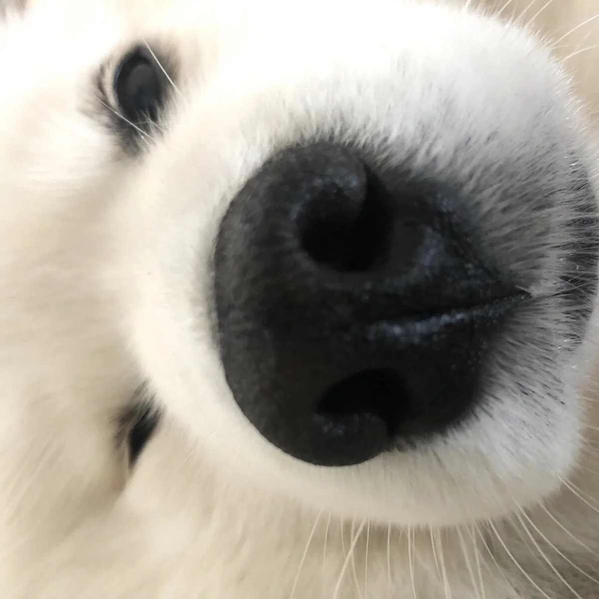 069078D9-7FC9-43FE-9215-C3DDE227AD09