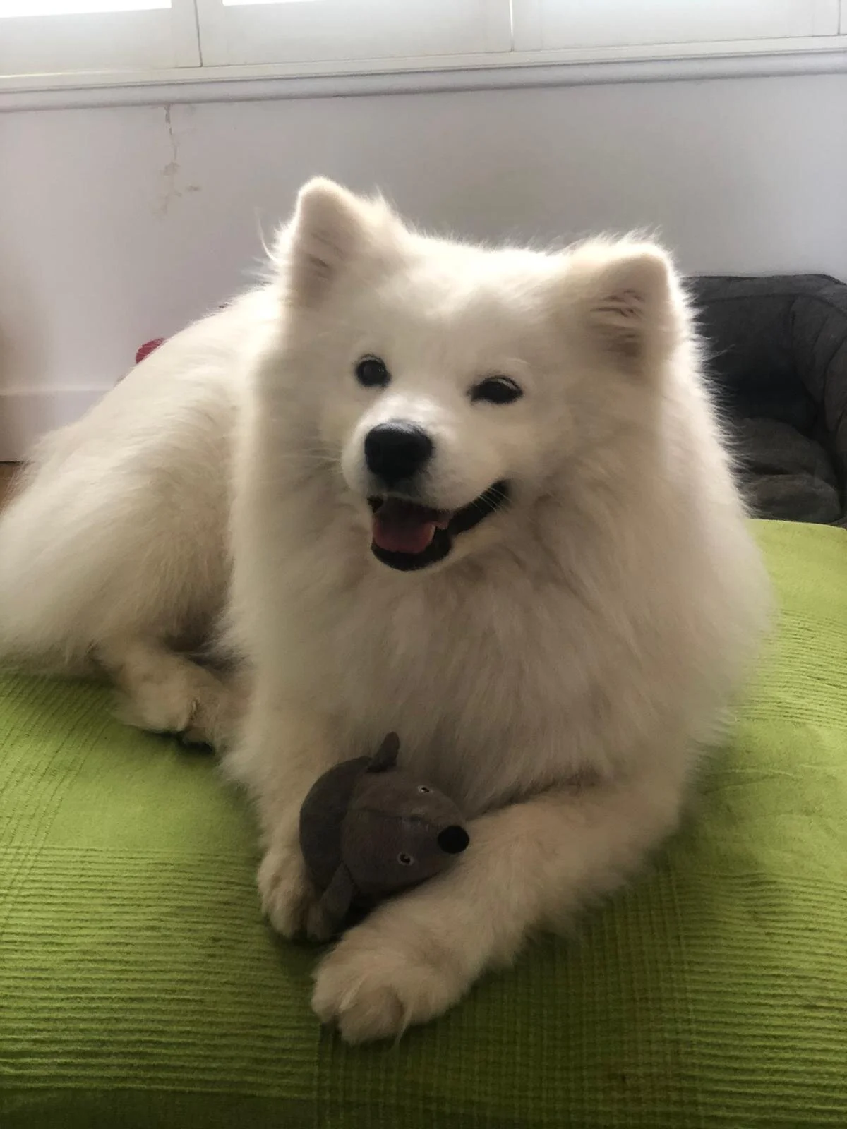 27C2C0F1-3368-45F1-A574-D922B867010E