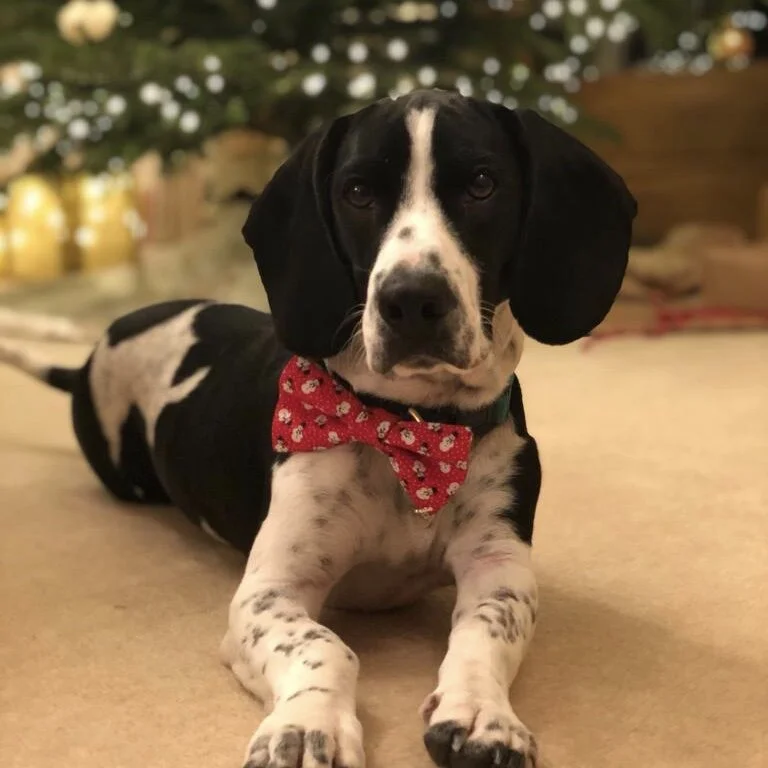 053B49FC-8B75-42B1-A4AB-88B995D0E7F7