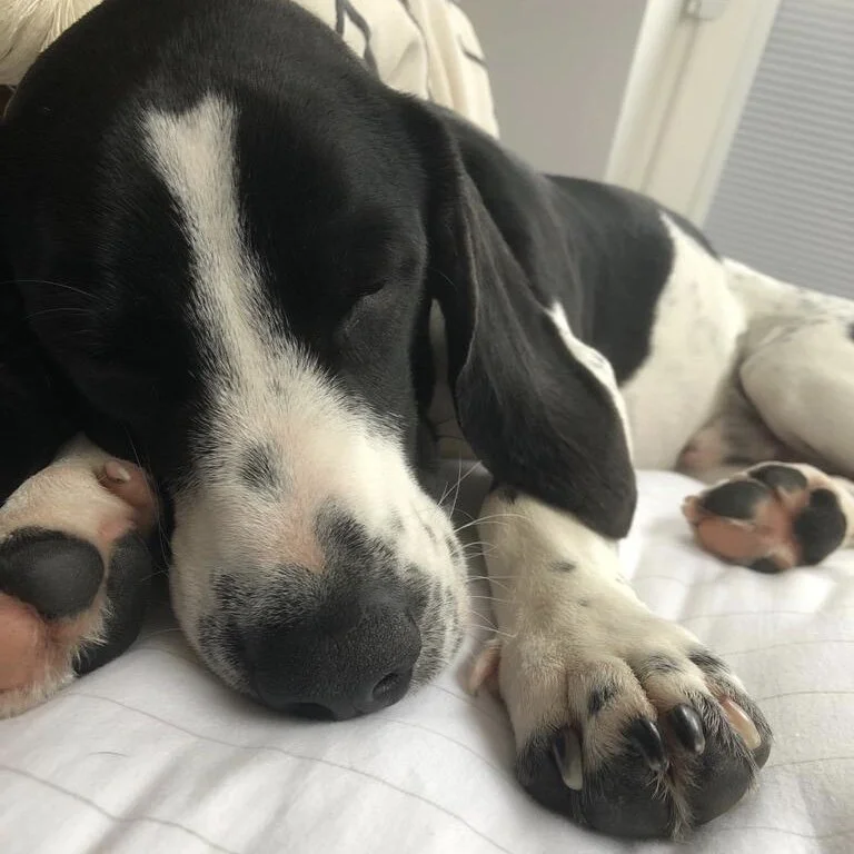 86DAAC06-44CF-4727-8D86-78250C4218FF