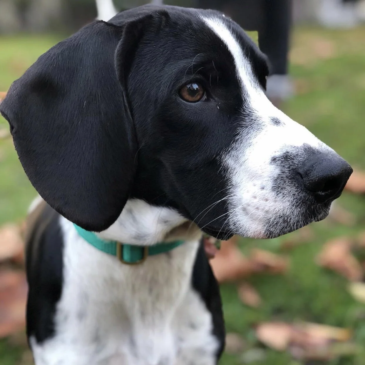 AB7D45D8-4204-4311-8390-E9B7E566E7D6