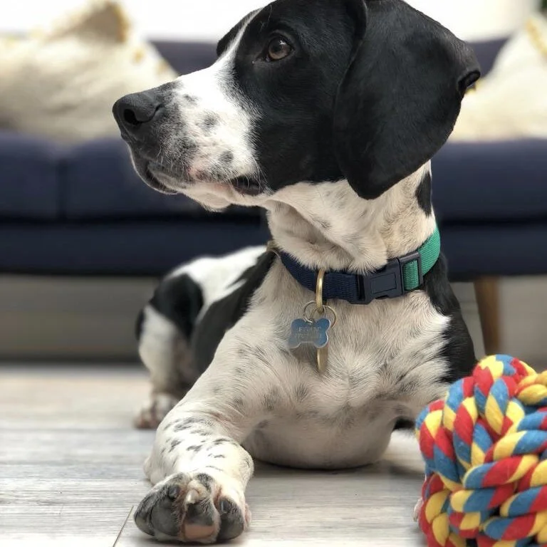 60FD471D-5265-4045-BF12-D8AE3FEEDDF0