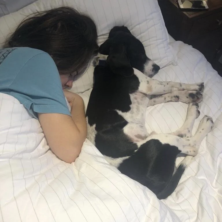 FBA243EB-9FA7-4DB9-9329-BDAC3FBD74F8