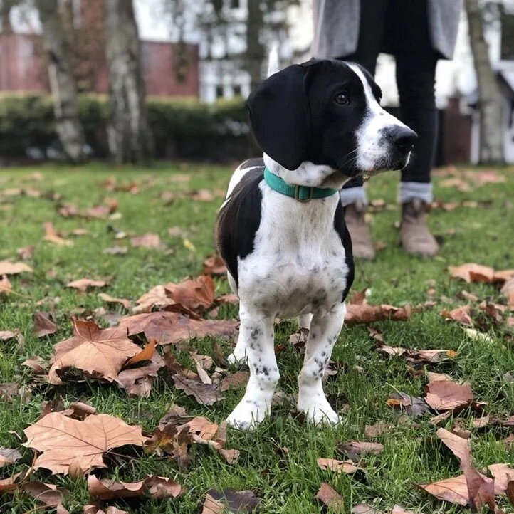 BEABE398-FFB1-4550-9DC6-F771CA7A0FA2