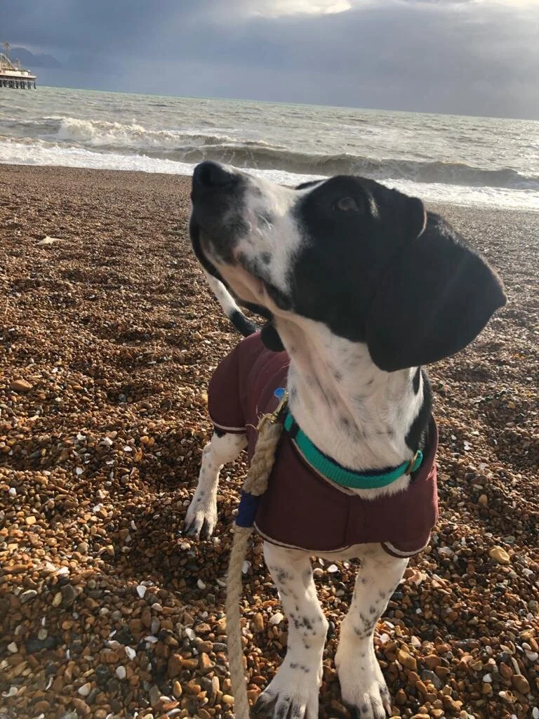 235F634D-0EE4-4F31-B4CD-DD6ED8ECFFAF