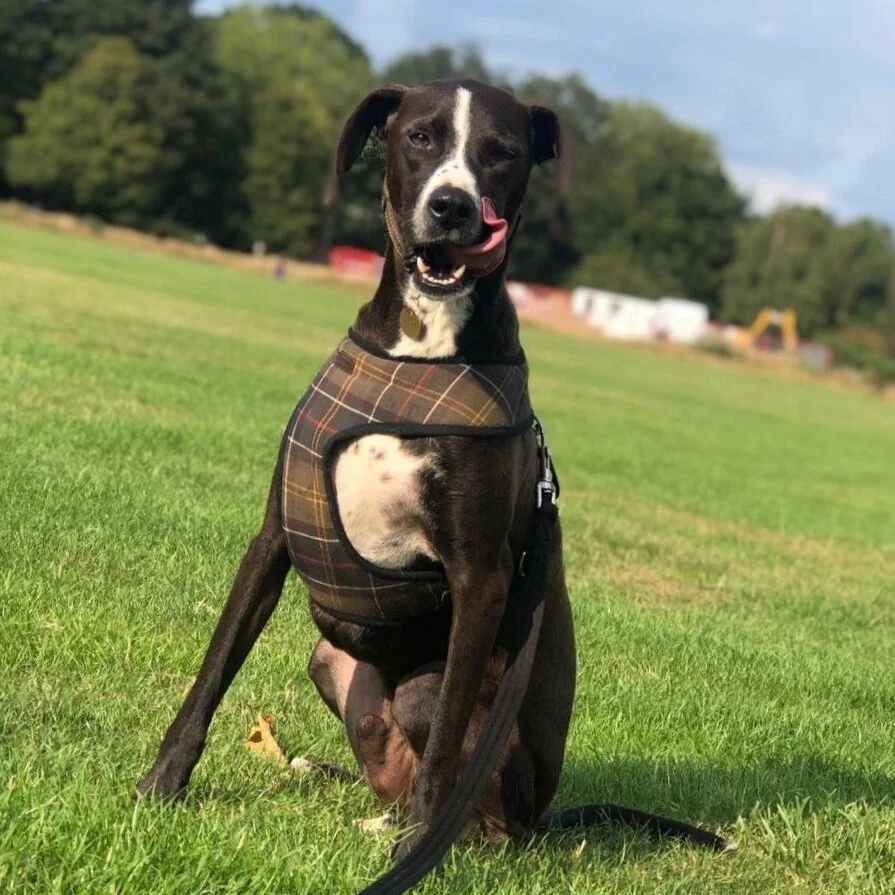 D2F9C210-D71D-495C-A00A-F519C561AEA1