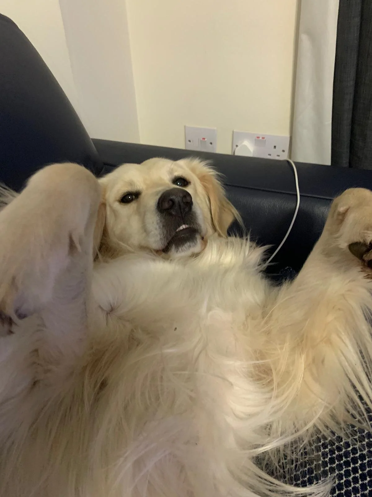 79F6715C-BA24-4C30-A99D-8E1680106851