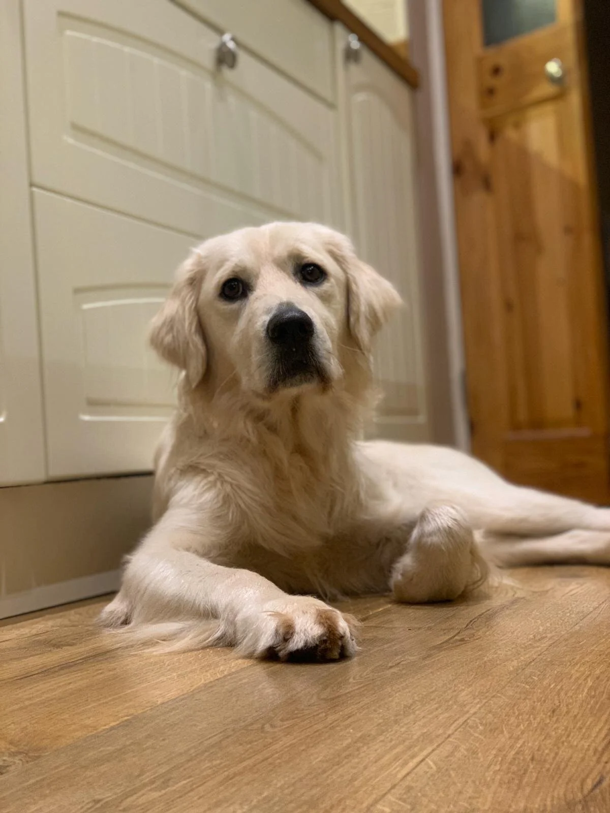 785D1E35-0FCD-4F92-8AAC-AB72B9EA1782