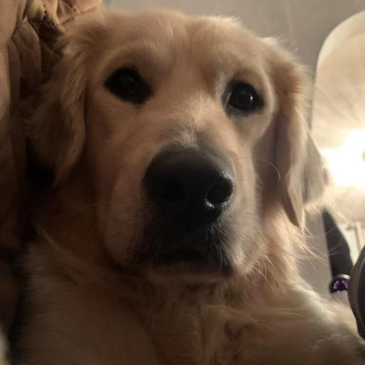 77CC7D35-93B7-43E1-A38F-B7597C62DDDE