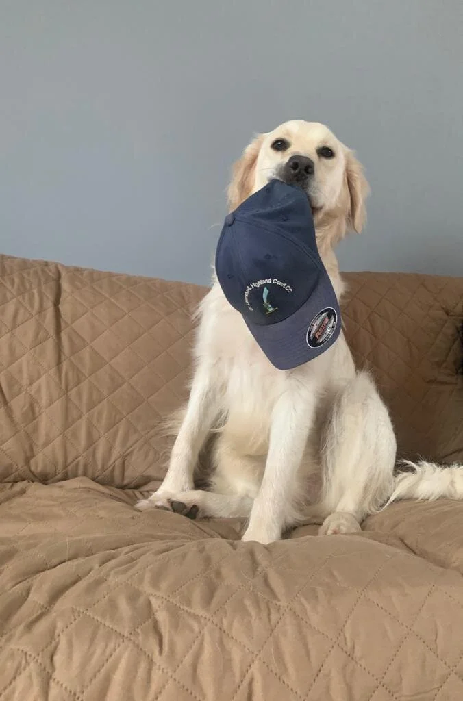 9299F44C-3A4F-4356-B8C2-9A3D889603EB