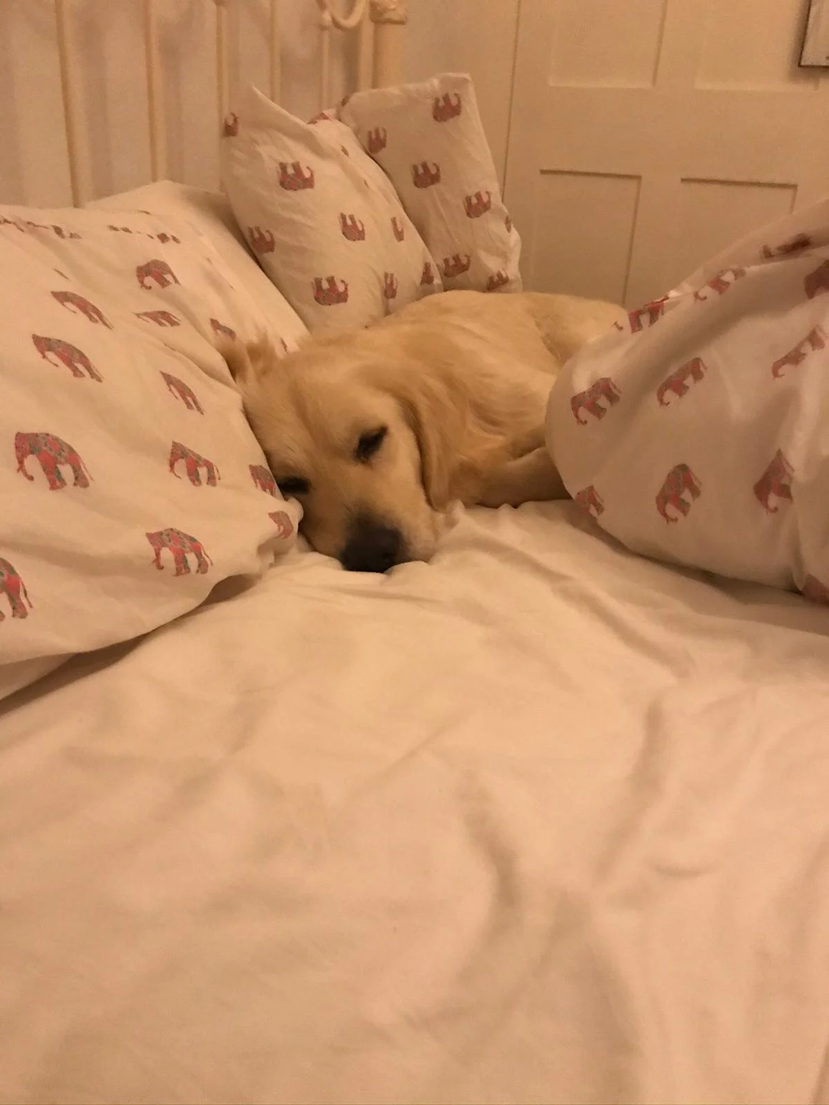 10ACE2C2-898E-4A95-853E-C2AB57431E87