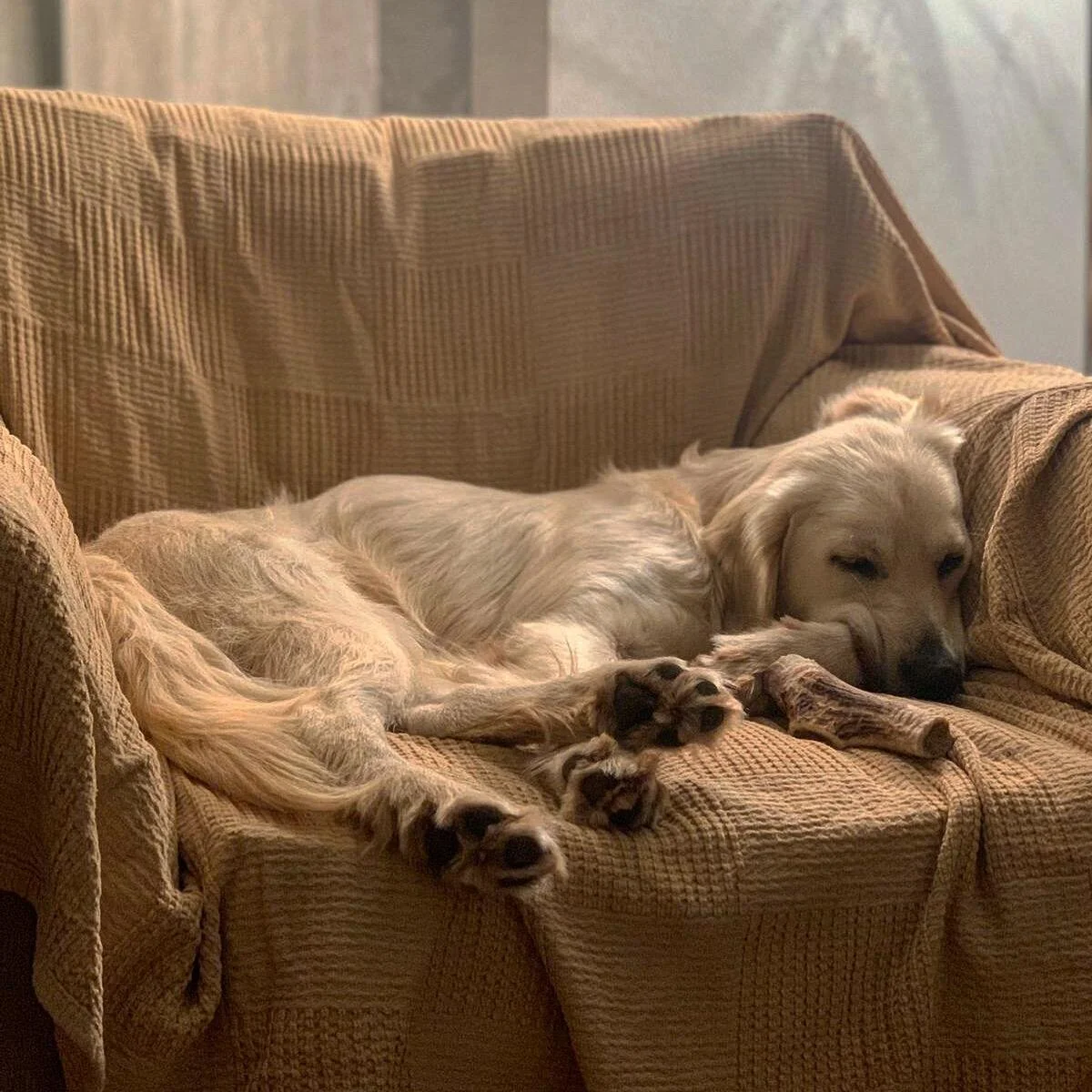 526DA32C-6FEF-4F17-9765-F1C3FFAE0CEB