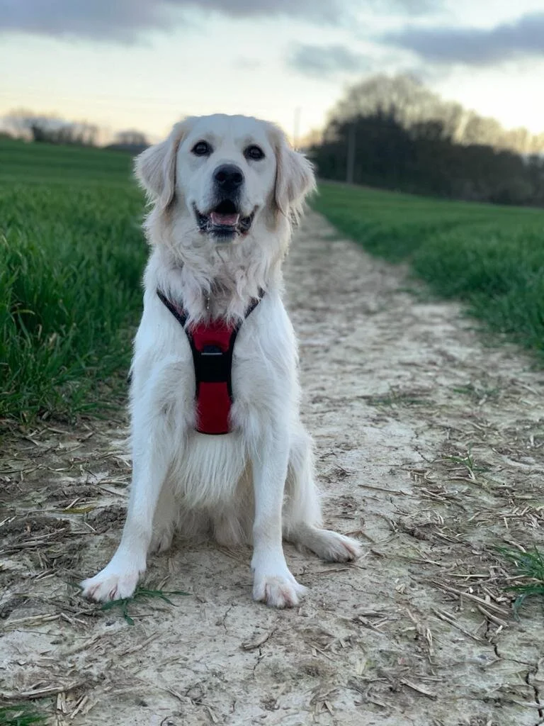 57AF7C48-2C07-4874-8752-34DC4BCF8BAC