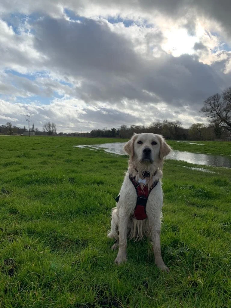 CD64747A-DFD9-4AA7-9159-D457A08A34A7